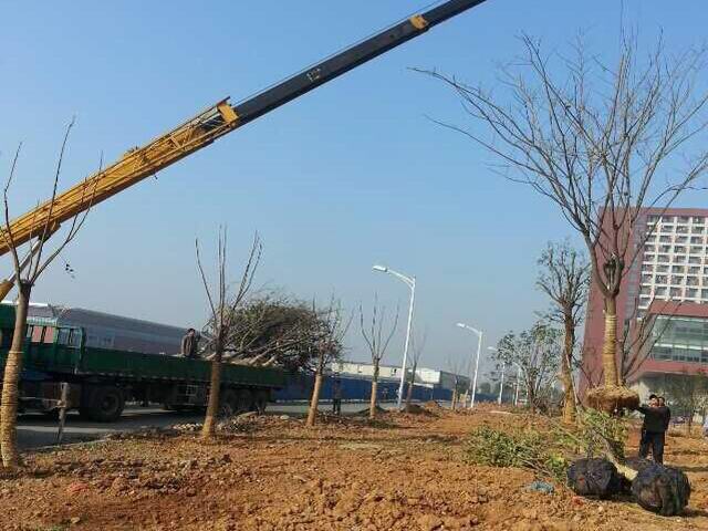 è ç³»(å¾1)
